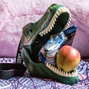 Dinosaur Lunch Box and Storage Case