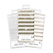 Metallic Paper Straws (24 pack)