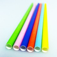 Neon Biodegradable Paper Straws (25 pack)