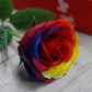 Single Rainbow Rose Soap