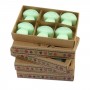 Soy Wax Shroom Melts (6 pack) 12 Licquorice
