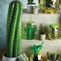 Cactus Glass Drinks Jars x 4 2 