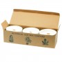 3 x Botanical Soy Candles with Wooden Wick 4 