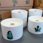 3 x Botanical Soy Candles with Wooden Wick 2 