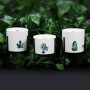 3 x Botanical Soy Candles with Wooden Wick 1 