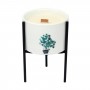 3 x Botanical Soy Candles with Wooden Wick 6 Pictured with stand sold separately