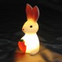 Hungry Bunny Night Light 3 
