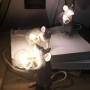 Seletti Mouse Lamp 1 
