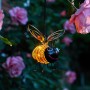 Solar Springy Bug Light 4 
