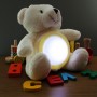 Glow Teddy 1 