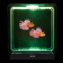 Lion Fish Tropical Mood Light 1 