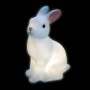 Woodland Rabbit LED Night Light 4 